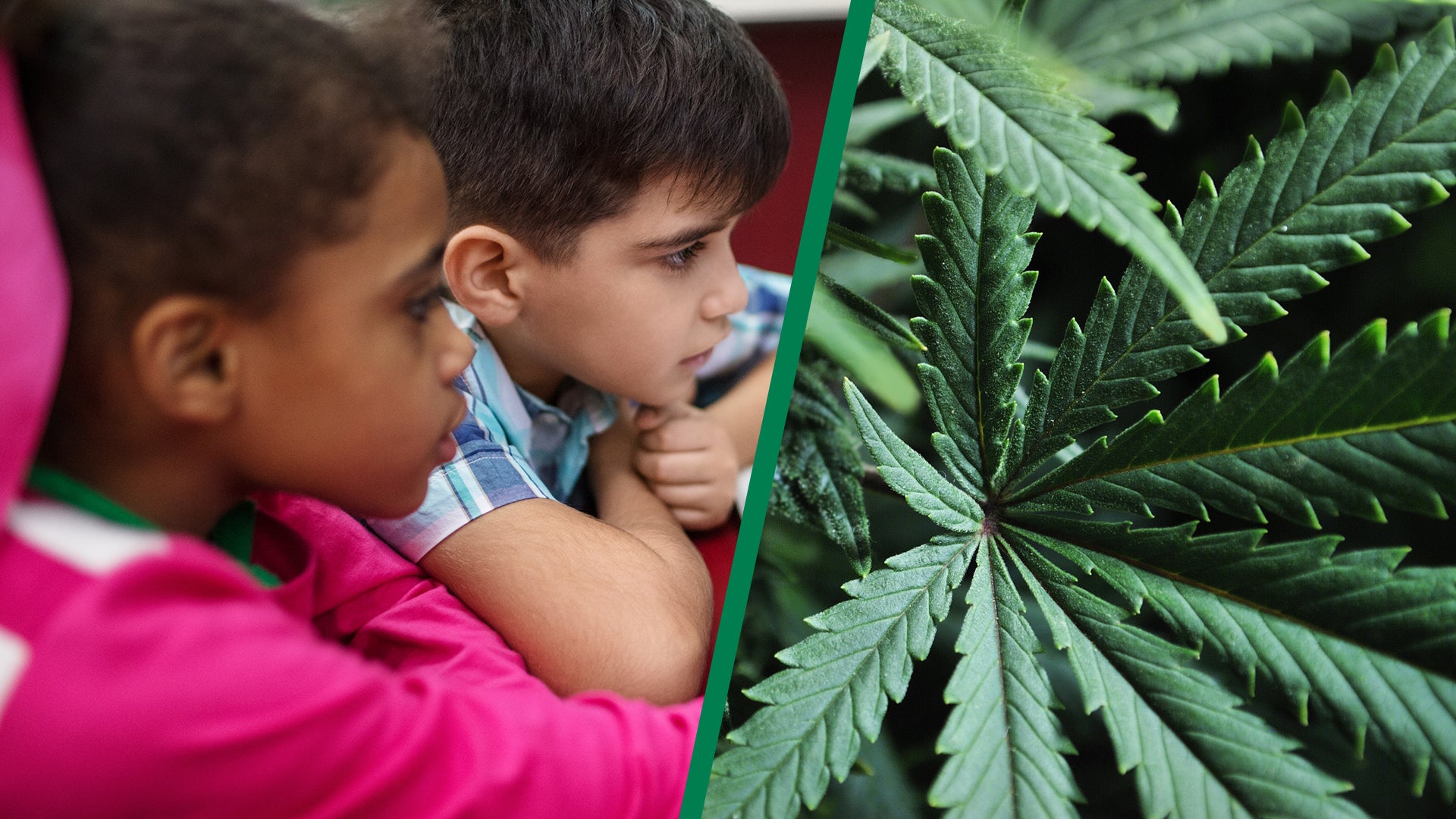  OCM Halloween cannabis warning: Keep edibles from kids — WNYT NewsChannel 13 (Albany)
