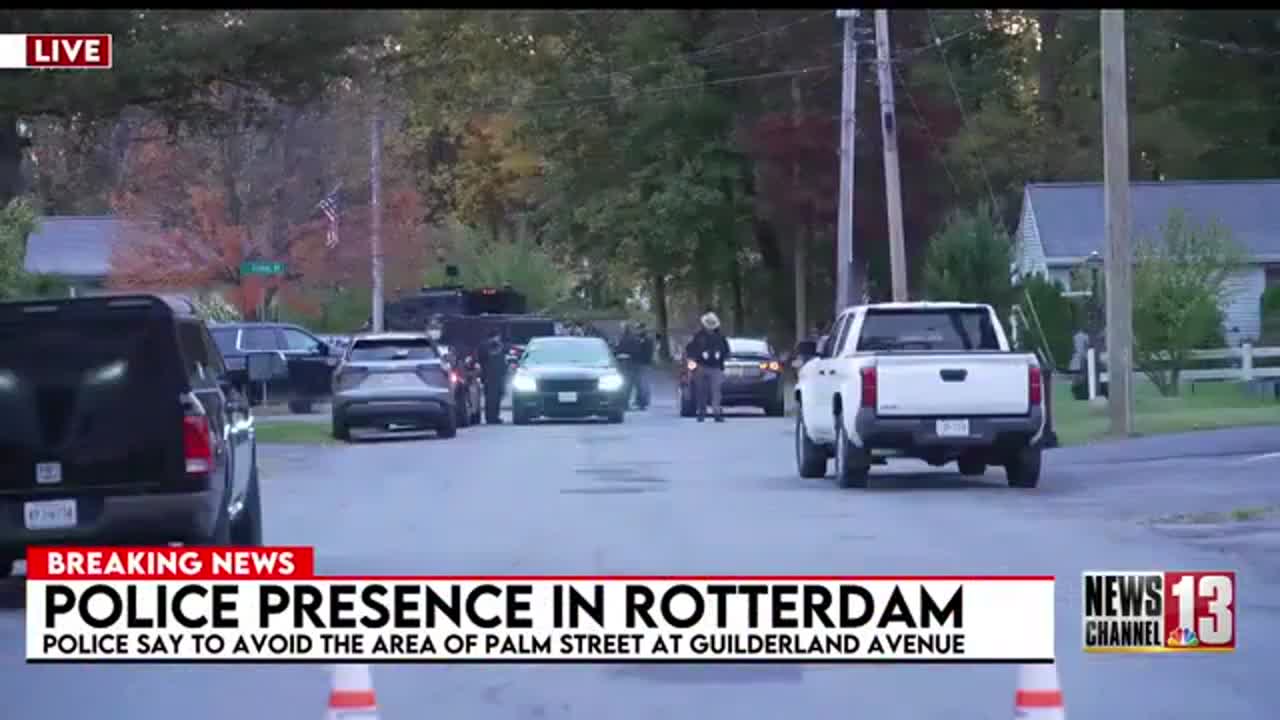 Large police presence on Palm Street in Rotterdam — Albany Business news